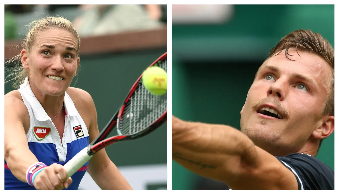 Babos és Fucsovics szakít a teniszszövetséggel