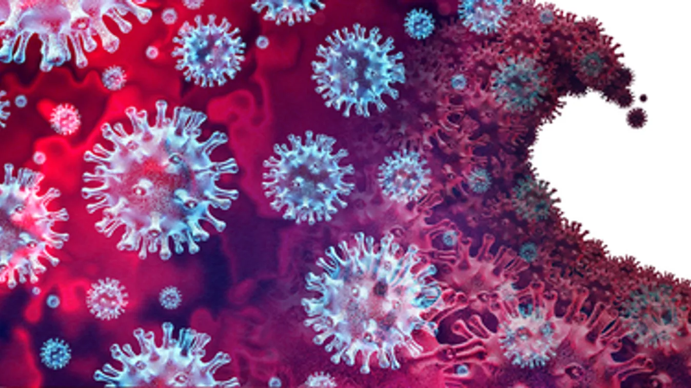 A montenegrói gazdaság egy második hullám idején már nem állna le