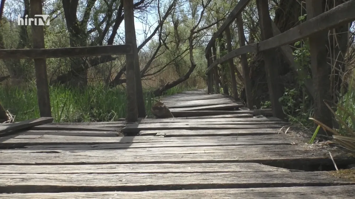 Polgári kezdeményezéssel mentené a váci tanösvényt a helyi KDNP