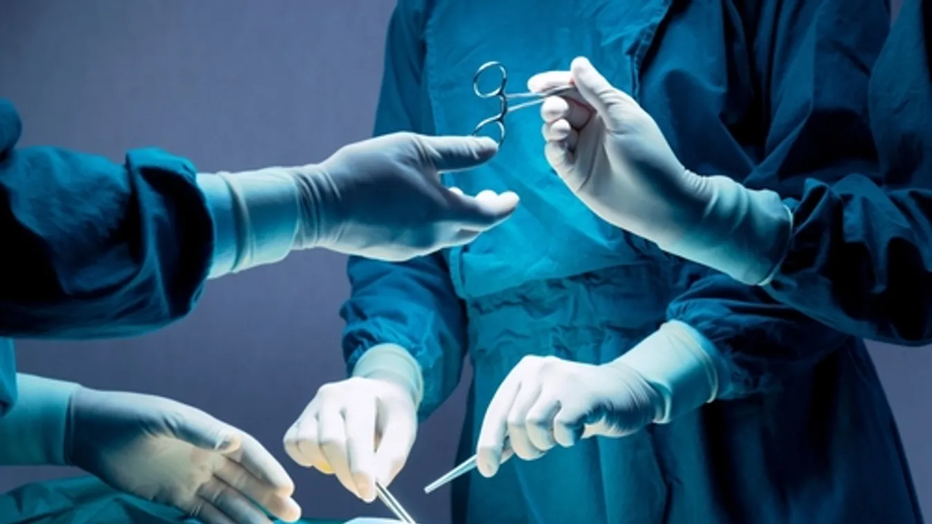 Vírust találtak abban a sertésszívben, amelyet elsőként ültettek emberbe