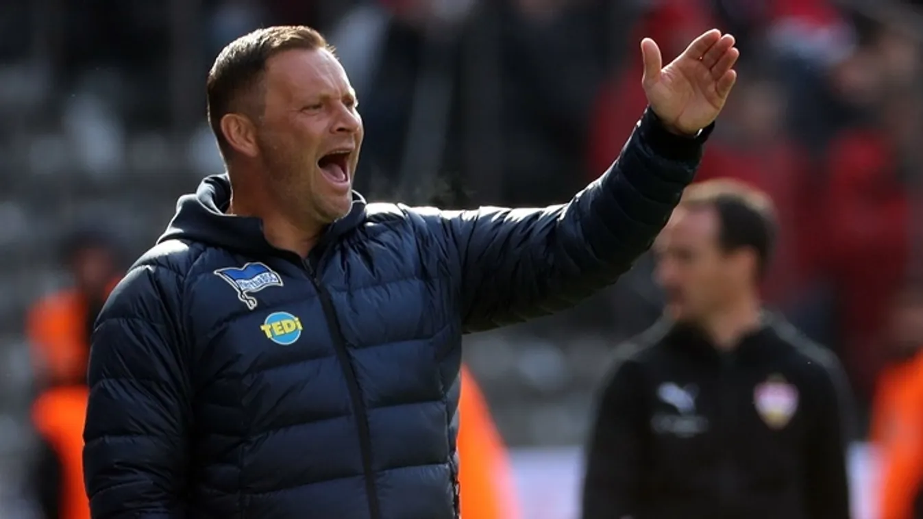 Dárdai Pál utánpótlásedző és koordinátor lesz a Herthánál