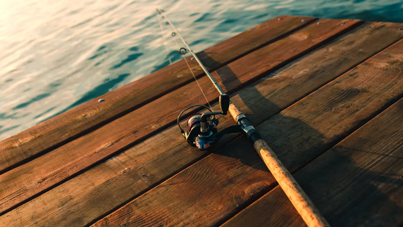 Hallal seftelő horgászok buktak le