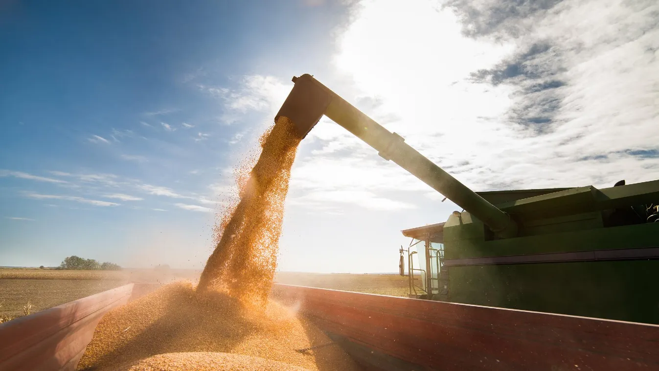 Lejár az ukrán gabona uniós importtilalma