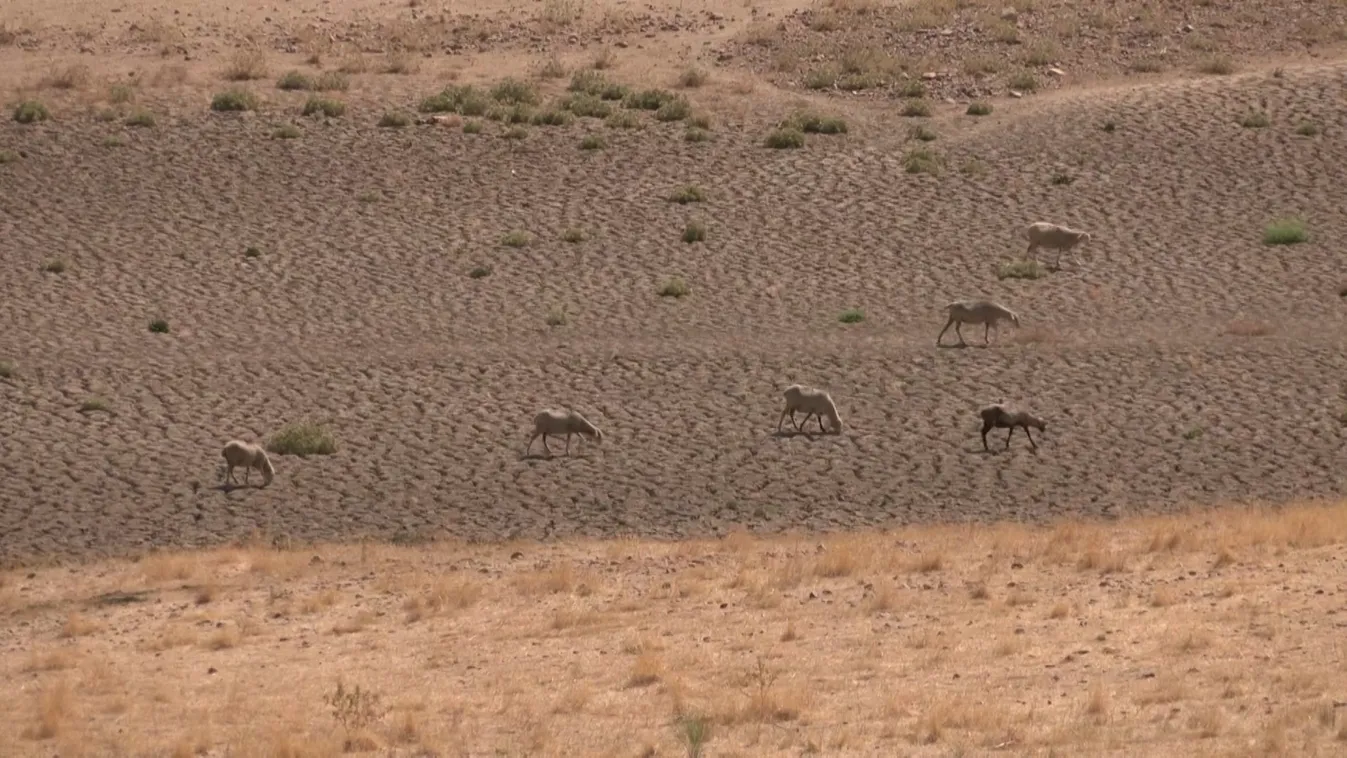 Az aszály miatt tovább drágul az energia