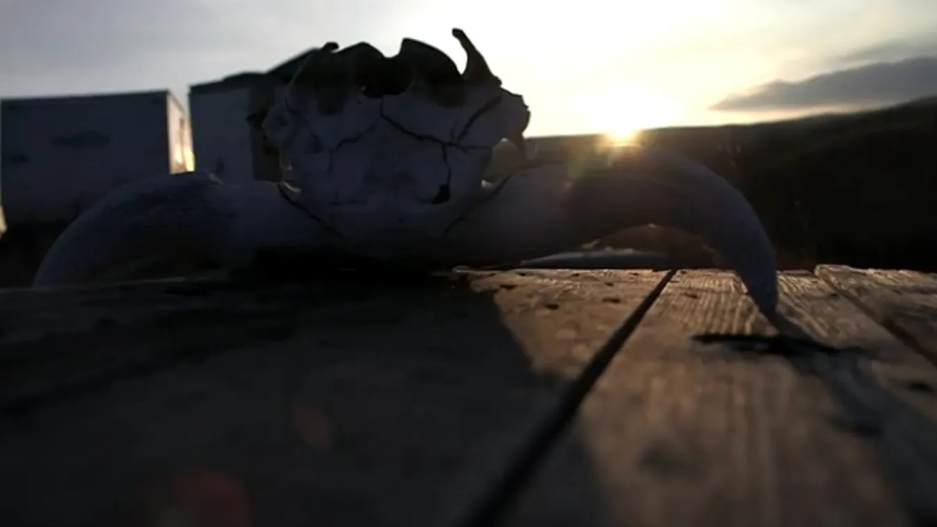 Pine Ridge – BBC Our World