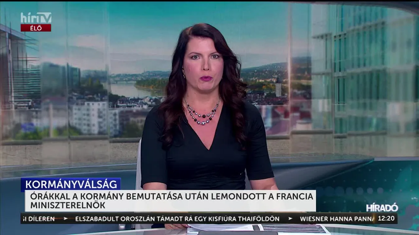 Órákkal a kormány bemutatása után lemondott a francia miniszterelnök