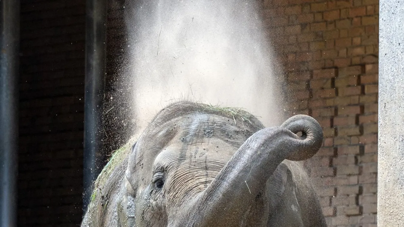Szokatlan vásárló okozott riadalmat egy thaiföldi boltban