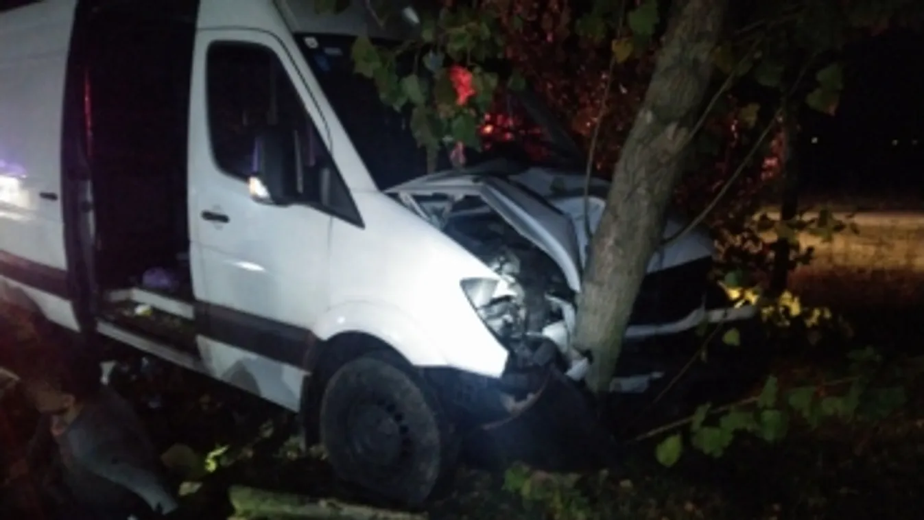 Fának hajtott, majd menekülni akart az embercsempész, a rendőrök elfogták