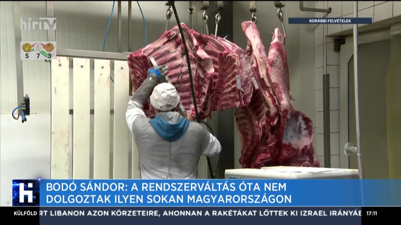 Bodó Sándor: A rendszerváltás óta nem dolgoztak ilyen sokan Magyarországon