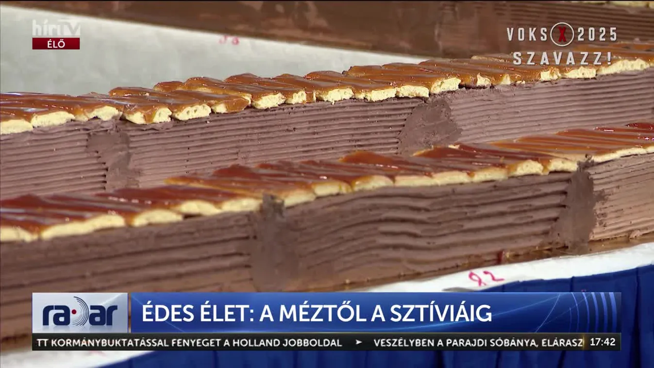 Radar - Édes élet: méztől a sztíviáig + videó