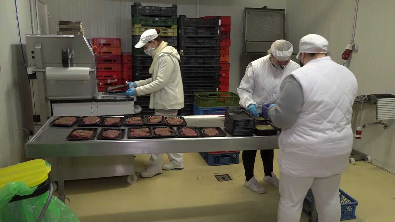 A mikrovállalkozások számára is jelentősen csökkentik az elektromos áram árát