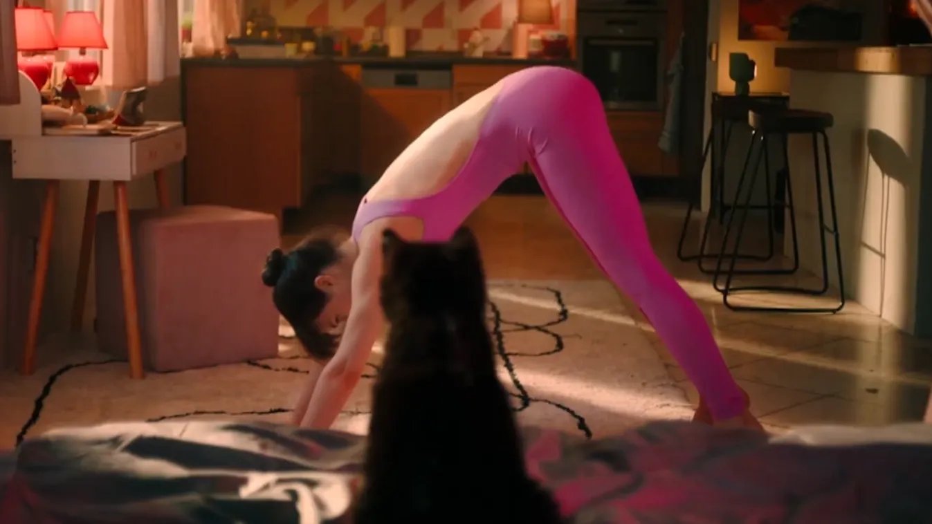 Svenk: Már megtekinthető a mozikban a Cicaverzum