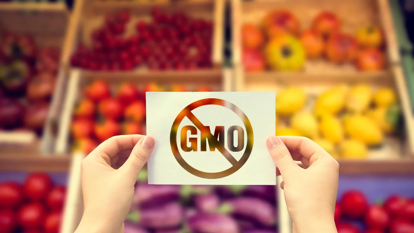 Magyarország kiáll a GMO-mentesség mellett