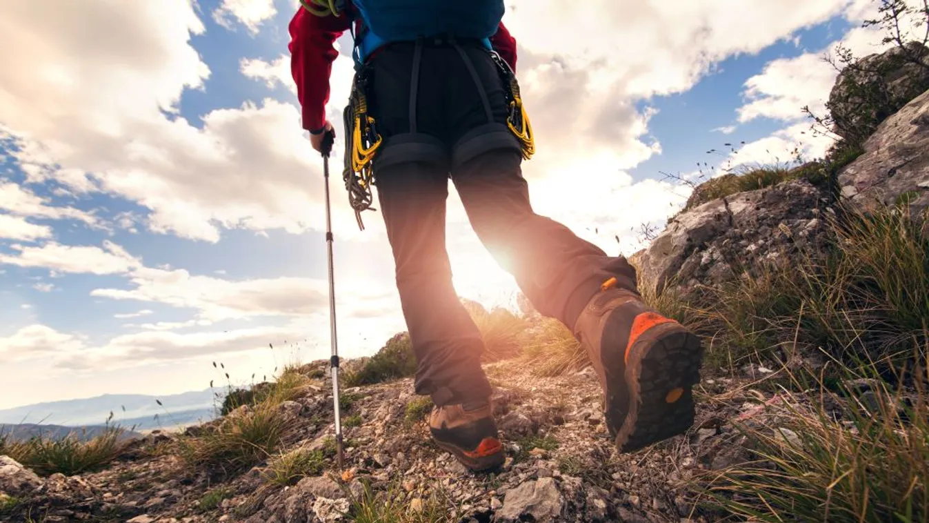 Két napig vonszolta magát egy sérült túrázó az ausztrál vadonban, mielőtt rátaláltak