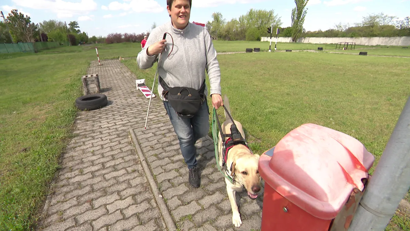 Radar - A látássérültek navigátora