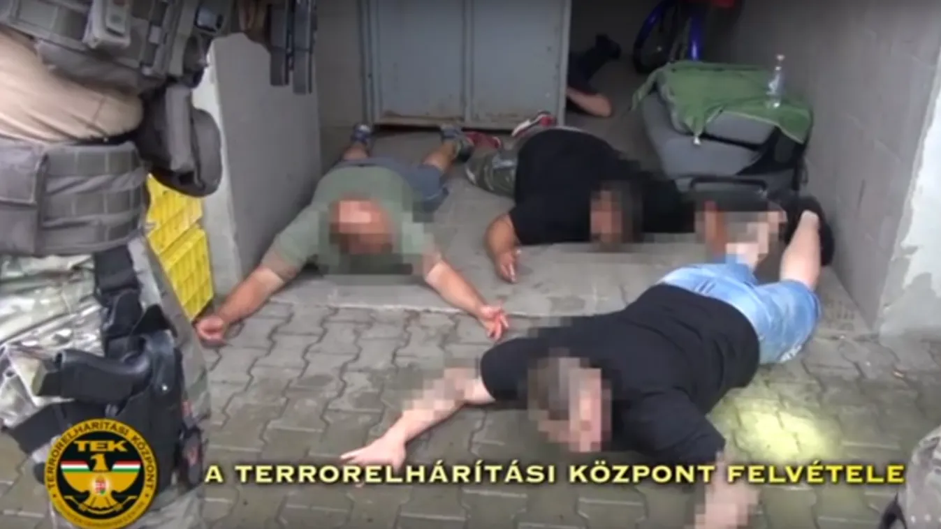 Kutyaviadal szervezőkre csapott le a TEK