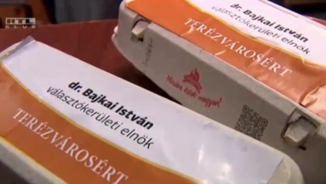 Tojástartó dobozon reklámozták a fideszes jelöltet