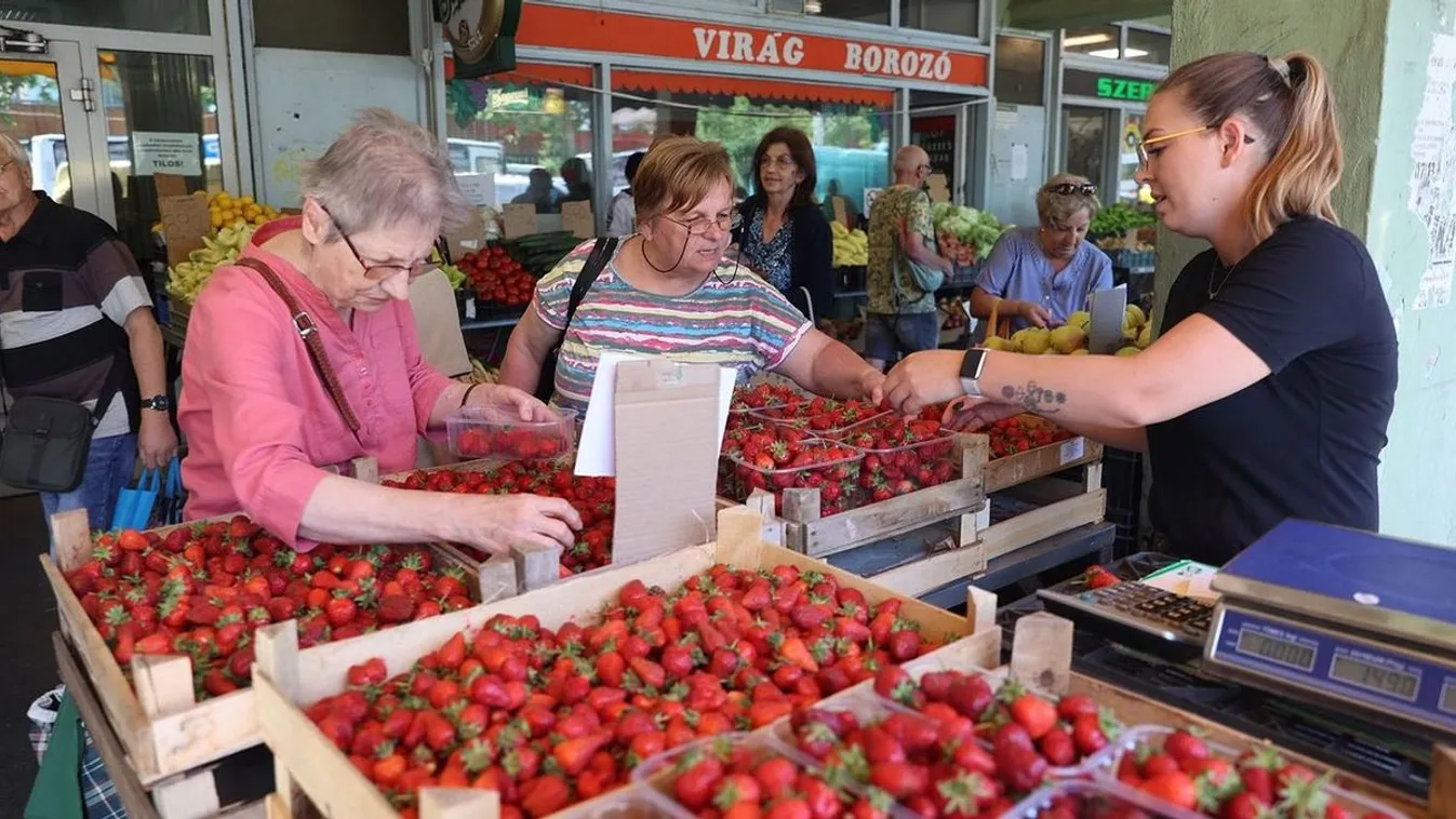 A hűvös májust nyögi az eperszezon