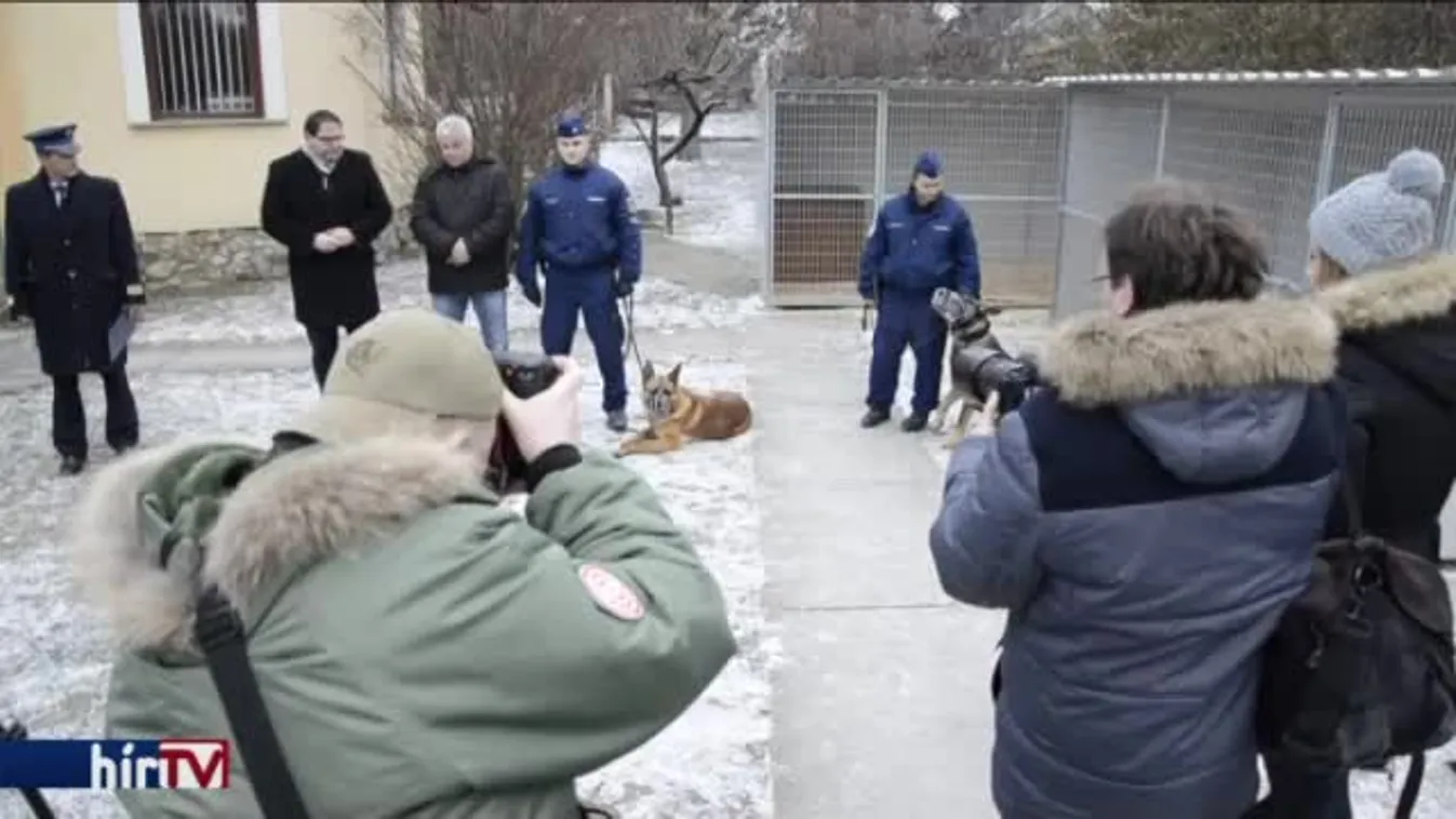 Kutyavásárt hirdetett a rendőrség