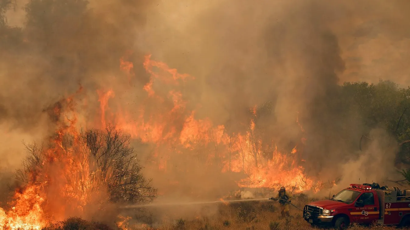 Hétezer hektár erdő égett le a portugál erdőtüzekben