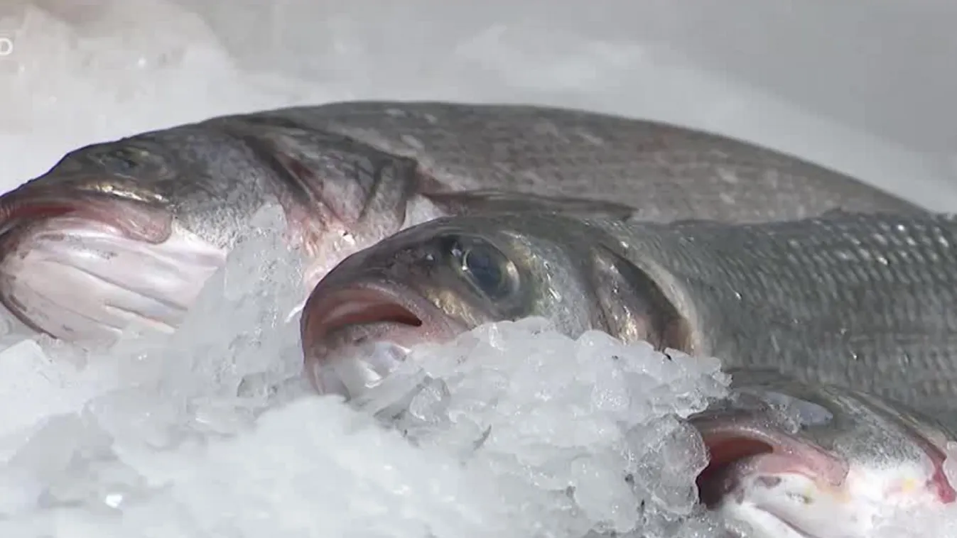 Tavalyi árakon lehet halat vásárolni az ünnepekre + videó