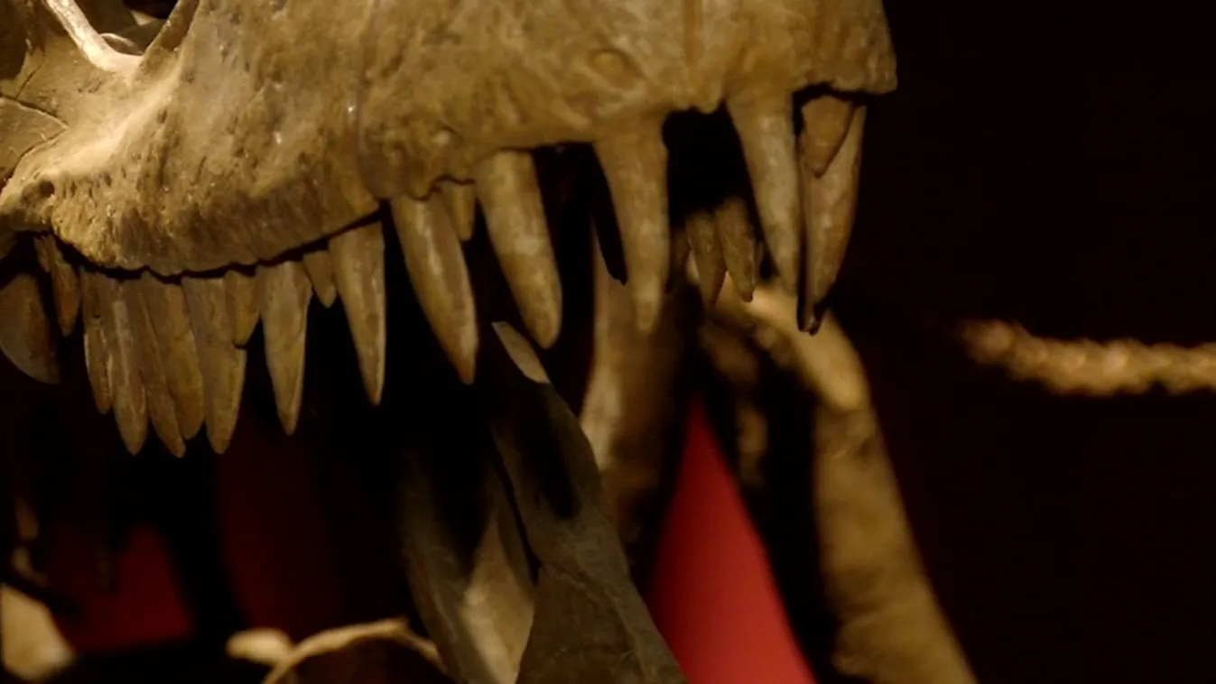 A szegedi múzeumban elevenedik meg a Jurassic Park