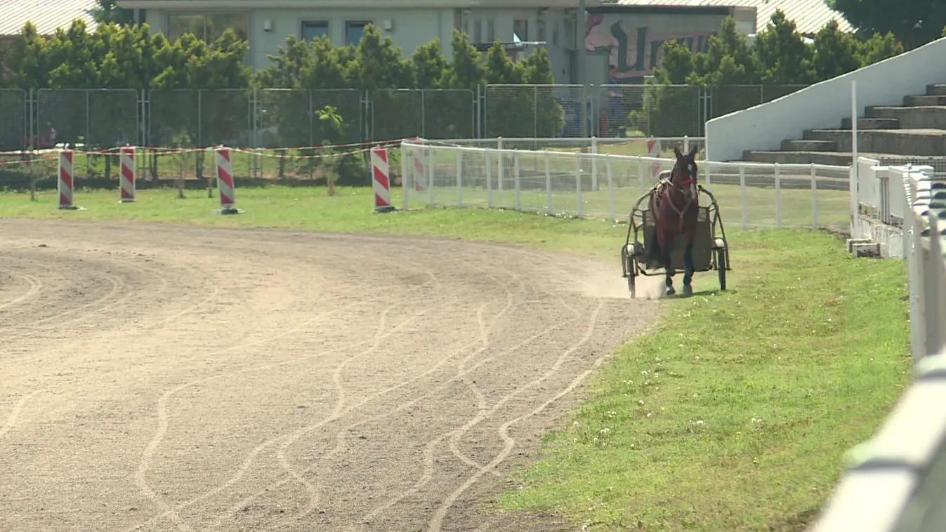 Vajdasági Vágta Szabadkán