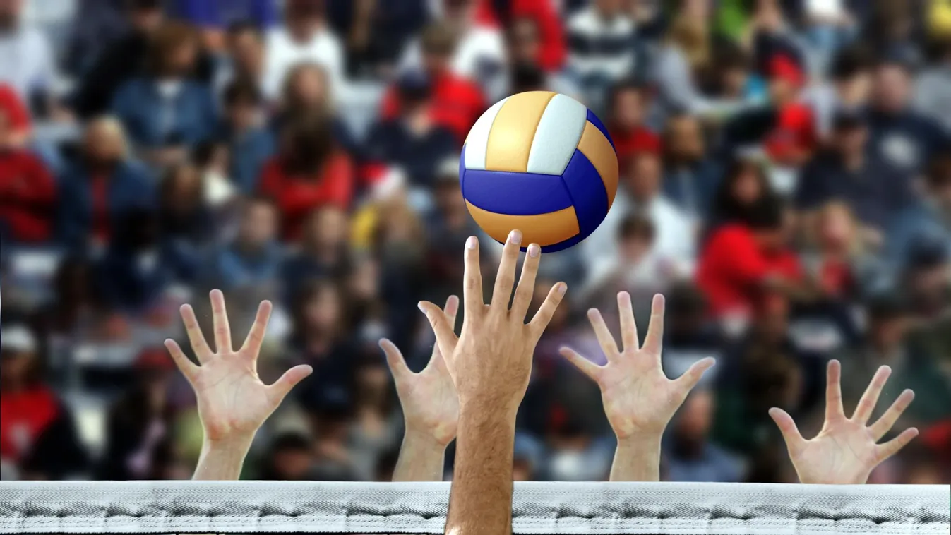 Újra győzött a férfi röplabda-válogatott