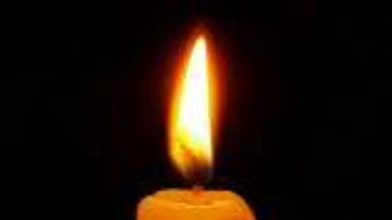 Meghalt Szekó József, Mohács polgármestere