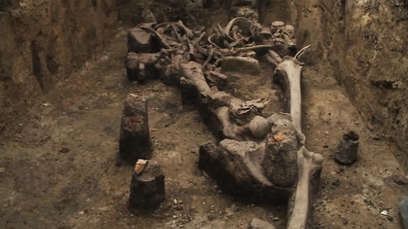 Kétméteres germán harcost találtak a szegedi régészek