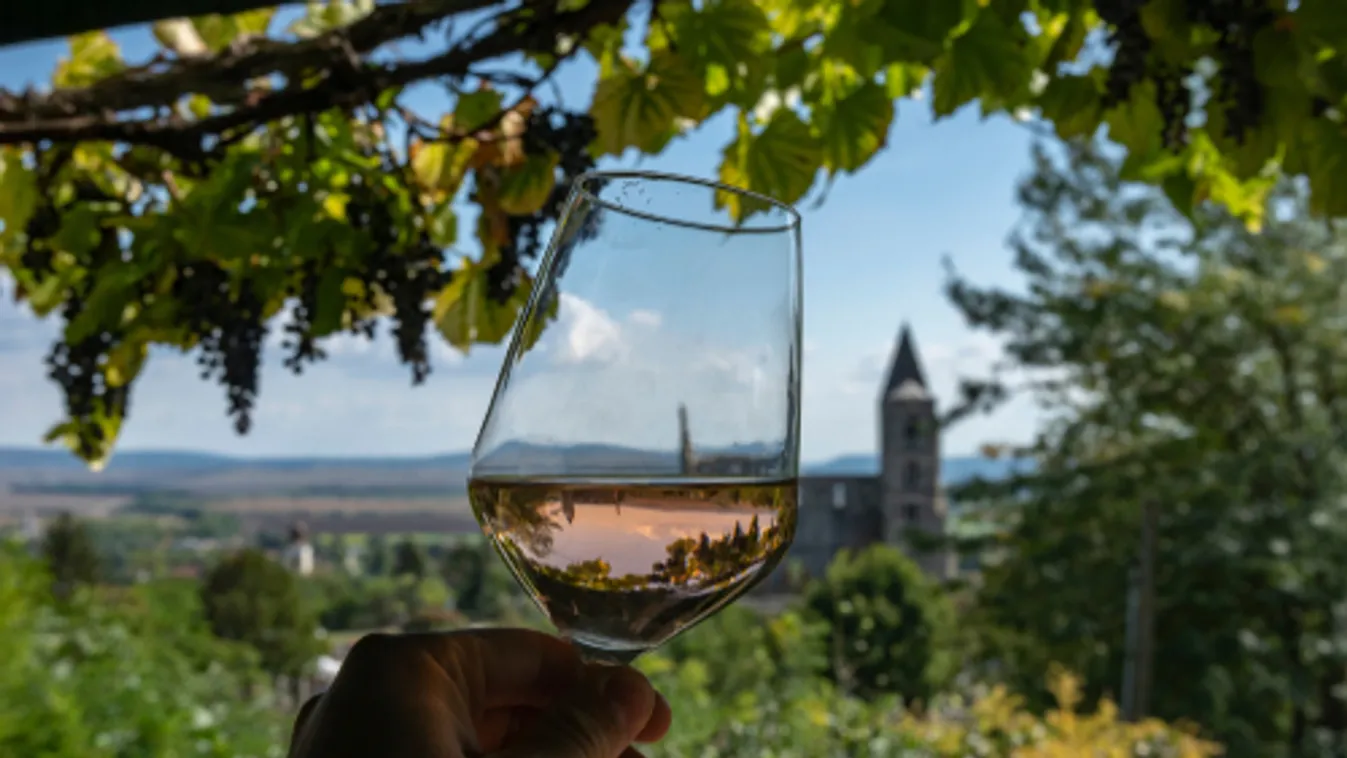 Mediterrán körülmények várnak a magyar bortermelőkre