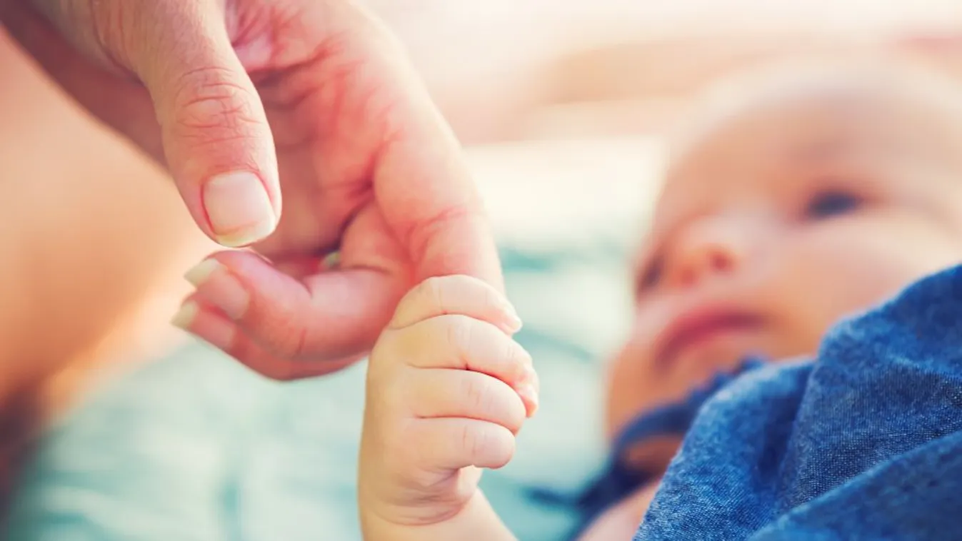 Novák Katalin: Óriási lehetőség rejlik a magyar családpolitikában