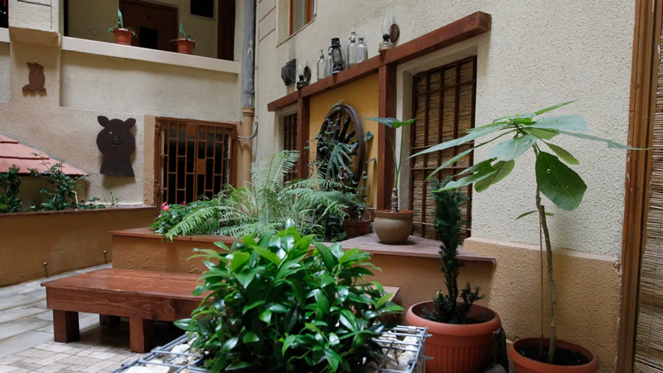 Zöld oázis a betondzsungel közepén