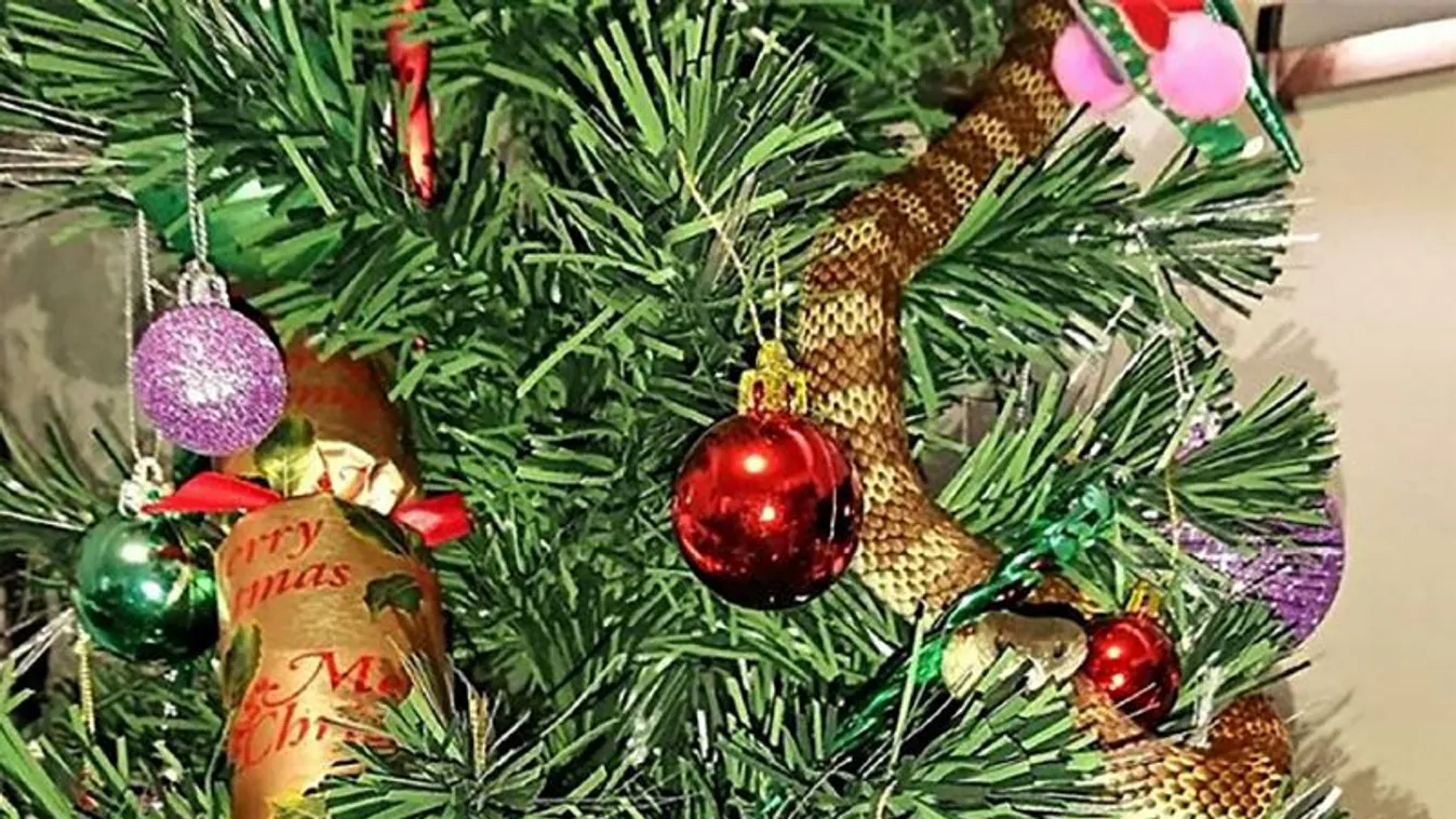 A külföldön élő magyarok többsége magyar szokás szerint karácsonyozik