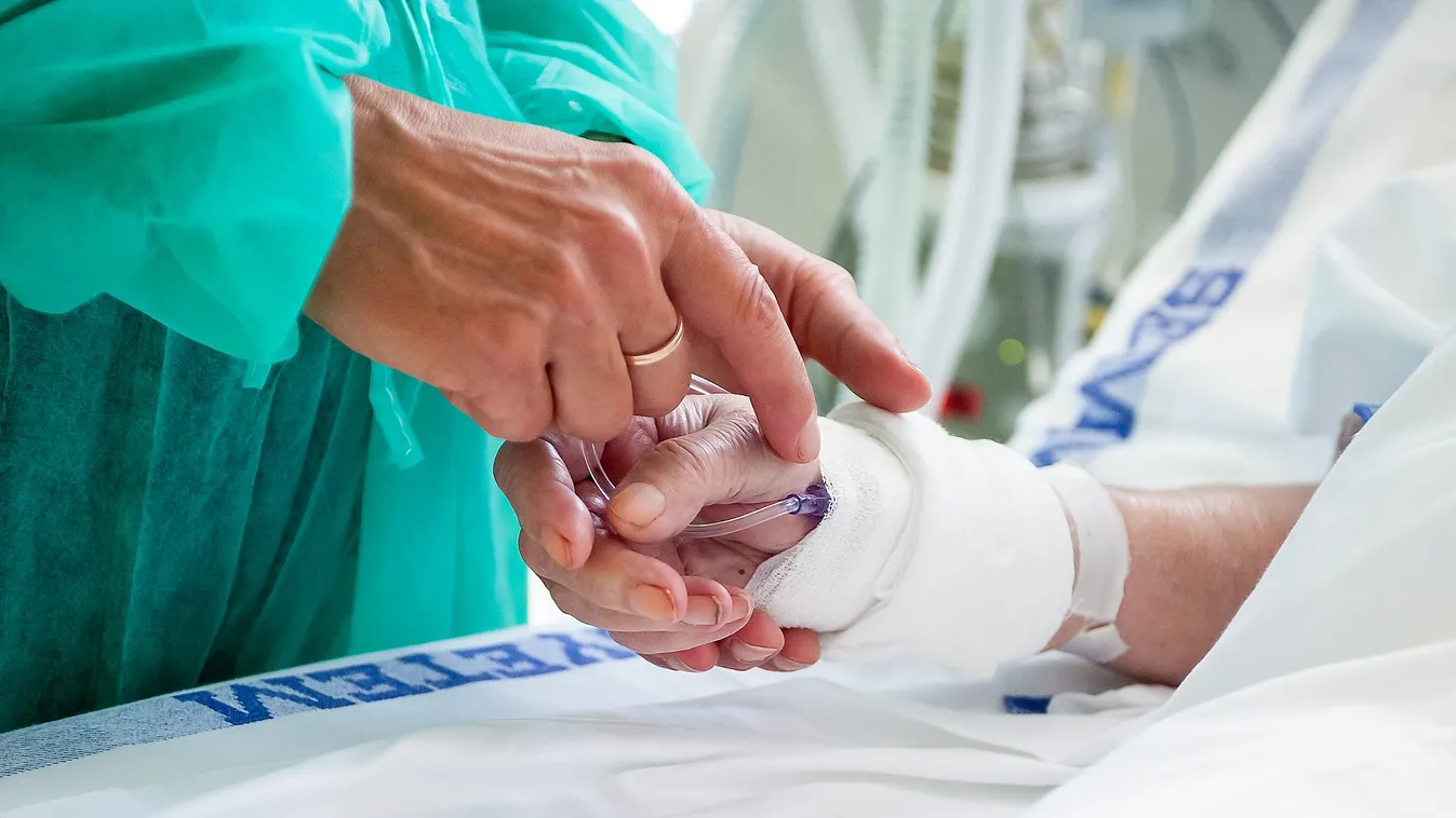 Új módszerrel szüntetné meg a hálapénzt a Semmelweis Egyetem