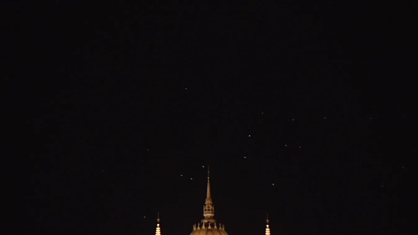 A madarak és a denevérek is rájöttek, kényelmes nekik a városi lét