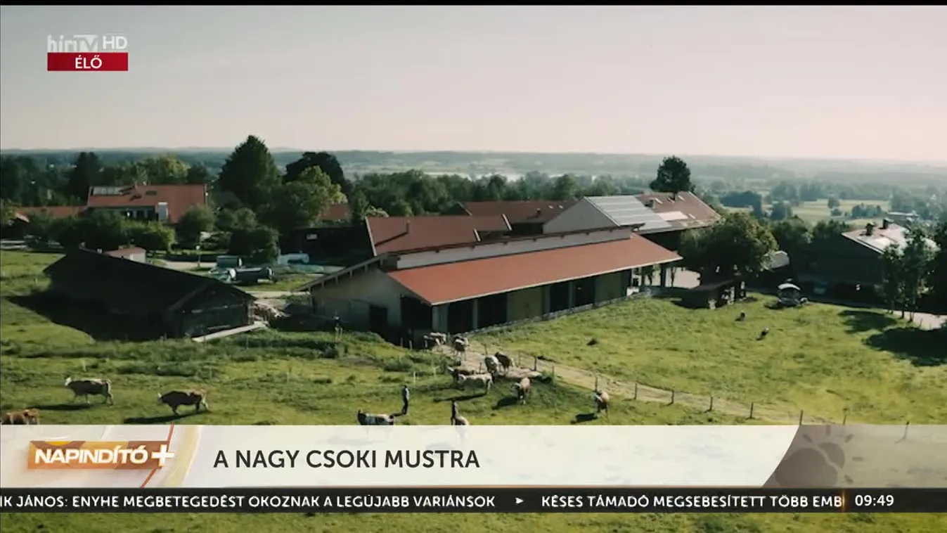 Napindító - A nagy csoki mustra