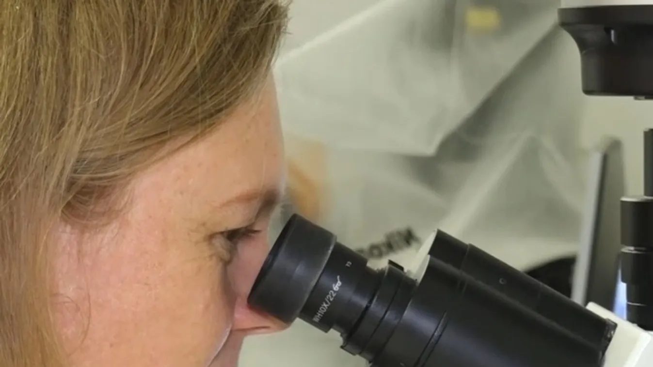 22. alkalommal adták át a kivételes tehetségű hazai kutatónők díját + videó