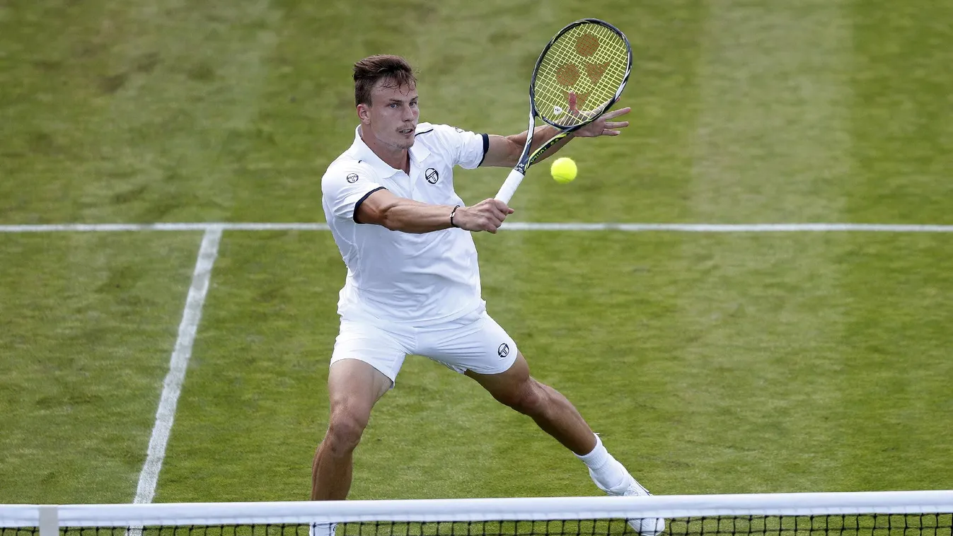 Az első körben búcsúzott Fucsovics Márton