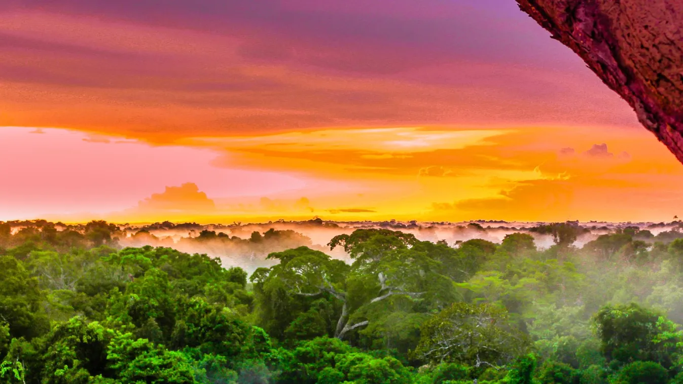 A keresőcsapatok az eltűnt brithez tartozó tárgyakra bukkantak az Amazonasban