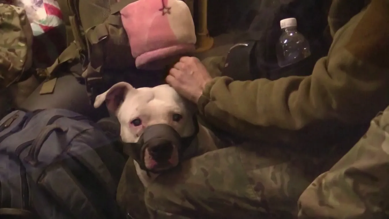 Radar - A háború 84. napja