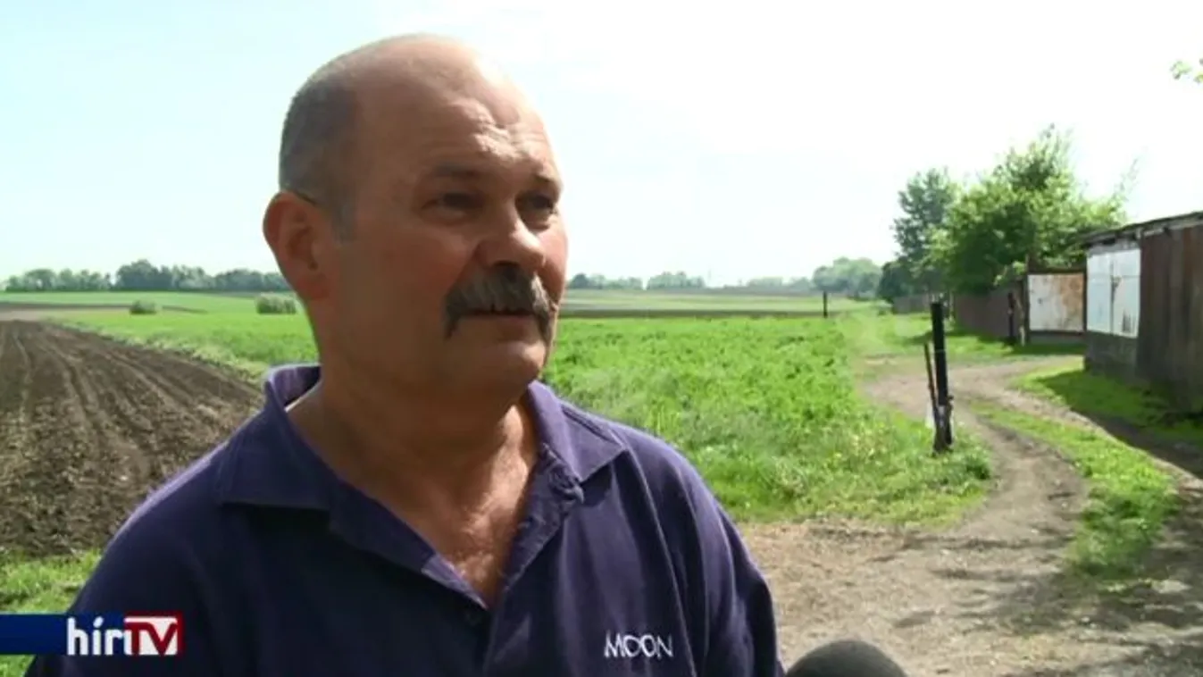 Ismét egy gazda a szenvedő fél