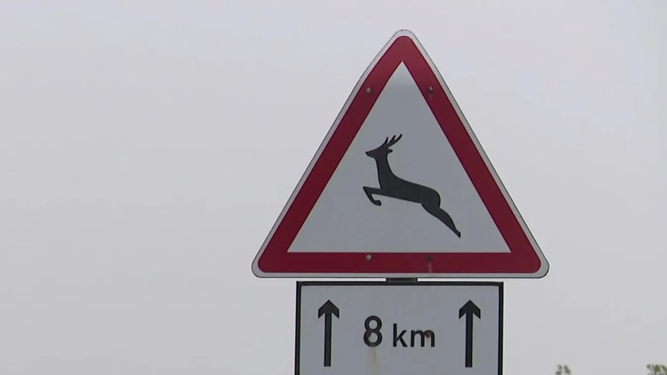 Radar – Életveszély az utakon + videó