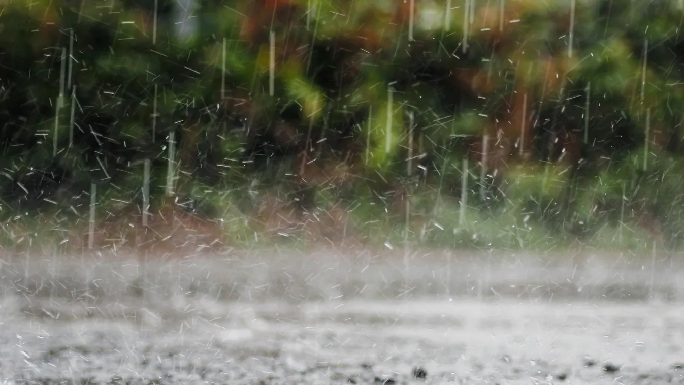 Bőven adott munkát a tűzoltóknak a vihar