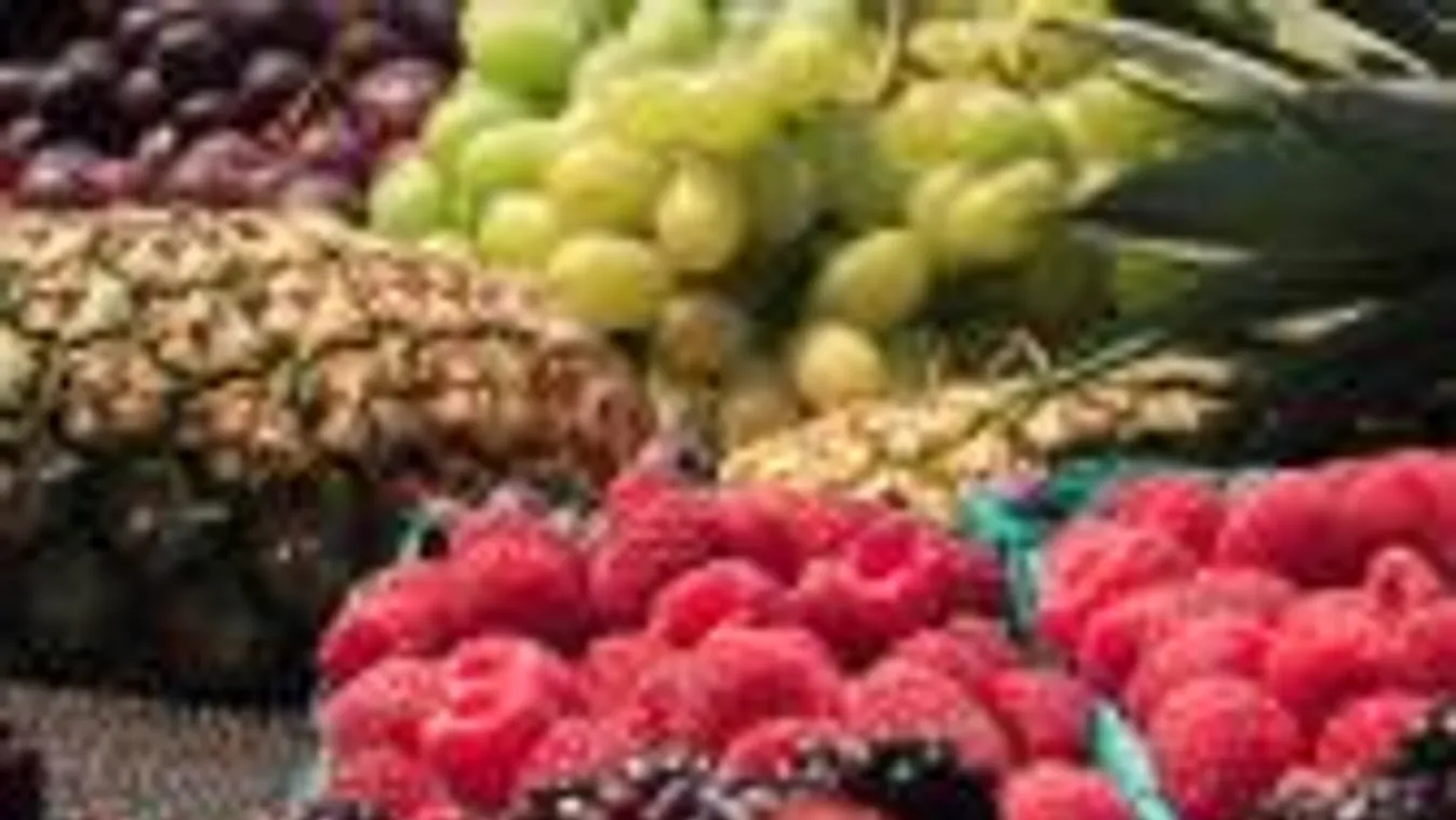 NAK: több mint egymillió emberhez ért el a Európai Friss Kalandok kampány