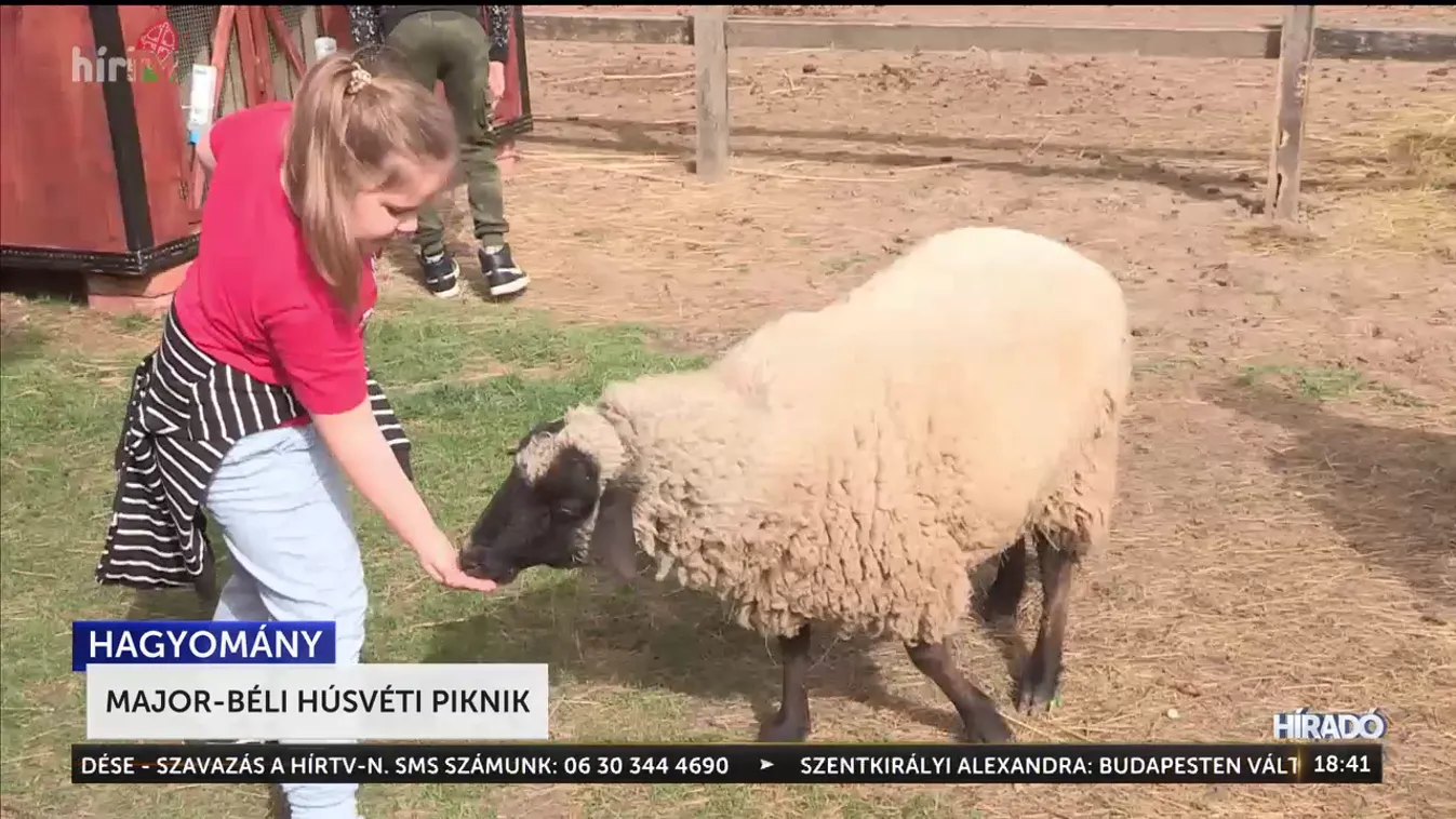 Ilyen volt a keszthelyi Majorbéli Húsvéti Piknik + videó