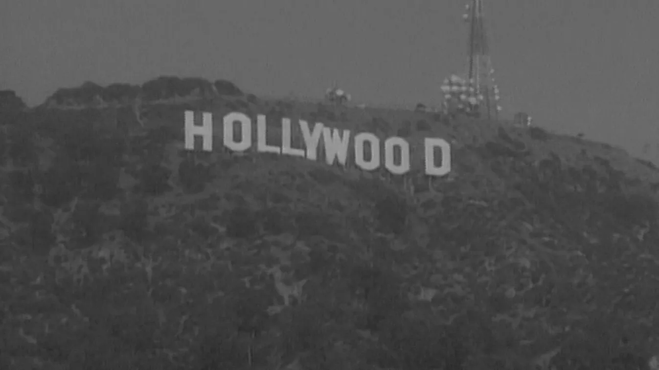 Radar - Magyar Hollywood