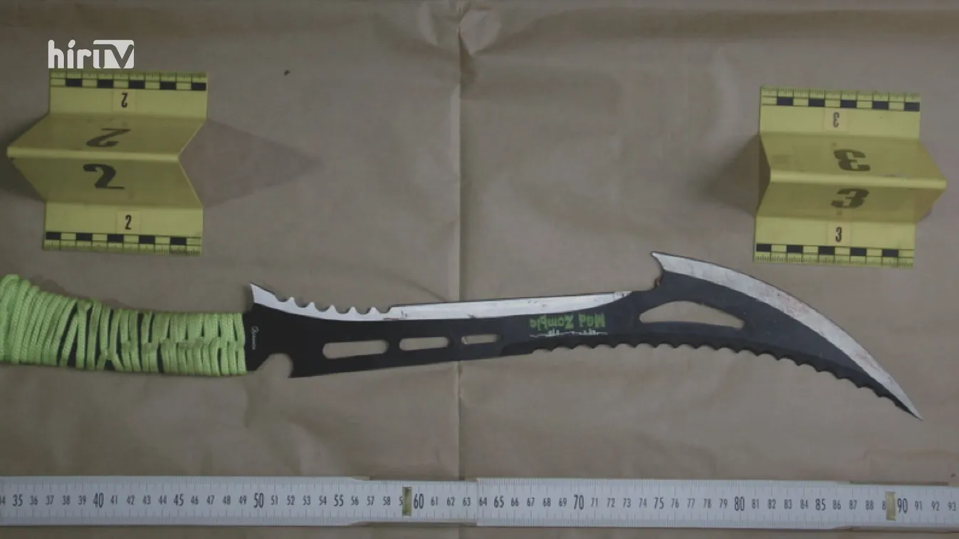 Súlyosabb ítéletet követel a machetés gyilkosnak a Mi Hazánk Mozgalom