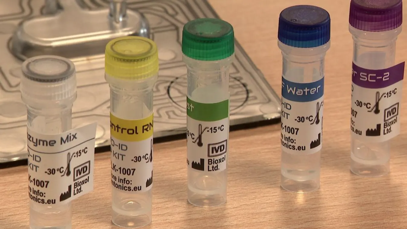 Forradalmi fejlesztés