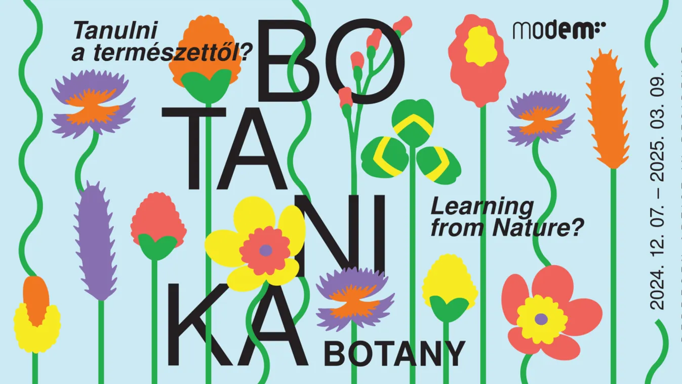 Tanulni a természettől? - Botanika címmel nyílik kiállítás a debreceni Modem-ben